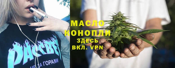 твердый Бородино