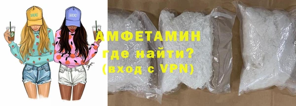 твердый Бородино