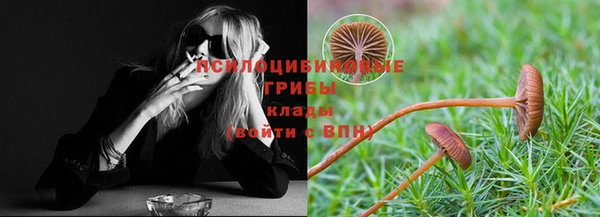 дурь Бронницы