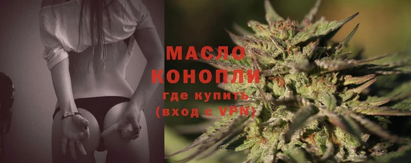 твердый Бородино