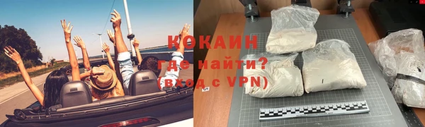 твердый Бородино