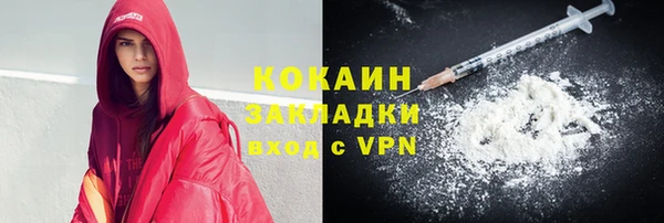 твердый Бородино
