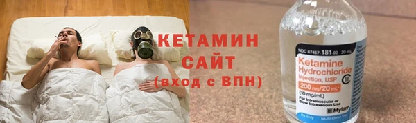 твердый Бородино