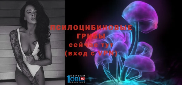 дурь Бронницы