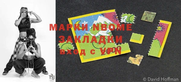 твердый Бородино