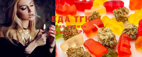 твердый Бородино